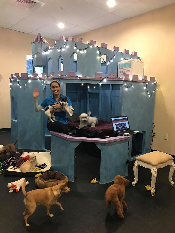 A blue, doggy castle playhouse, built for a dog daycare