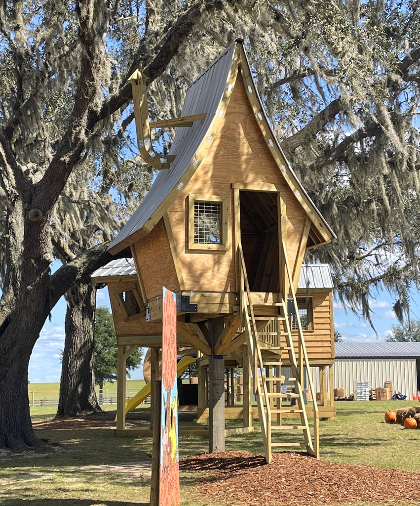 Sweeping roof elevated playhouse 